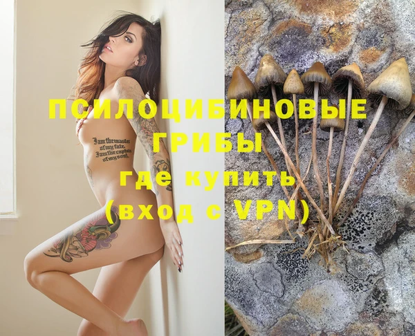 дурь Алагир