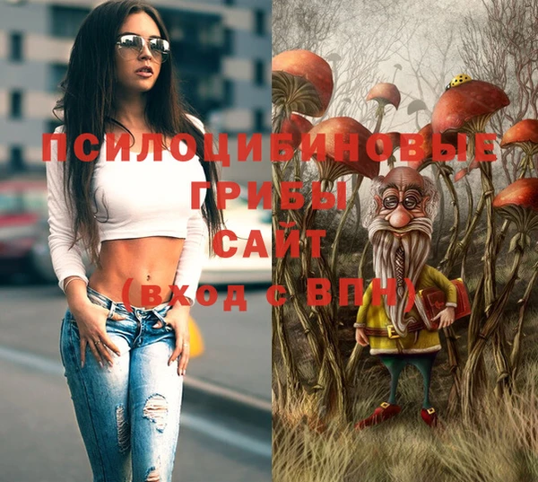 винт Арсеньев