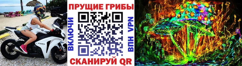 darknet состав Куса Галлюциногенные грибы мухоморы